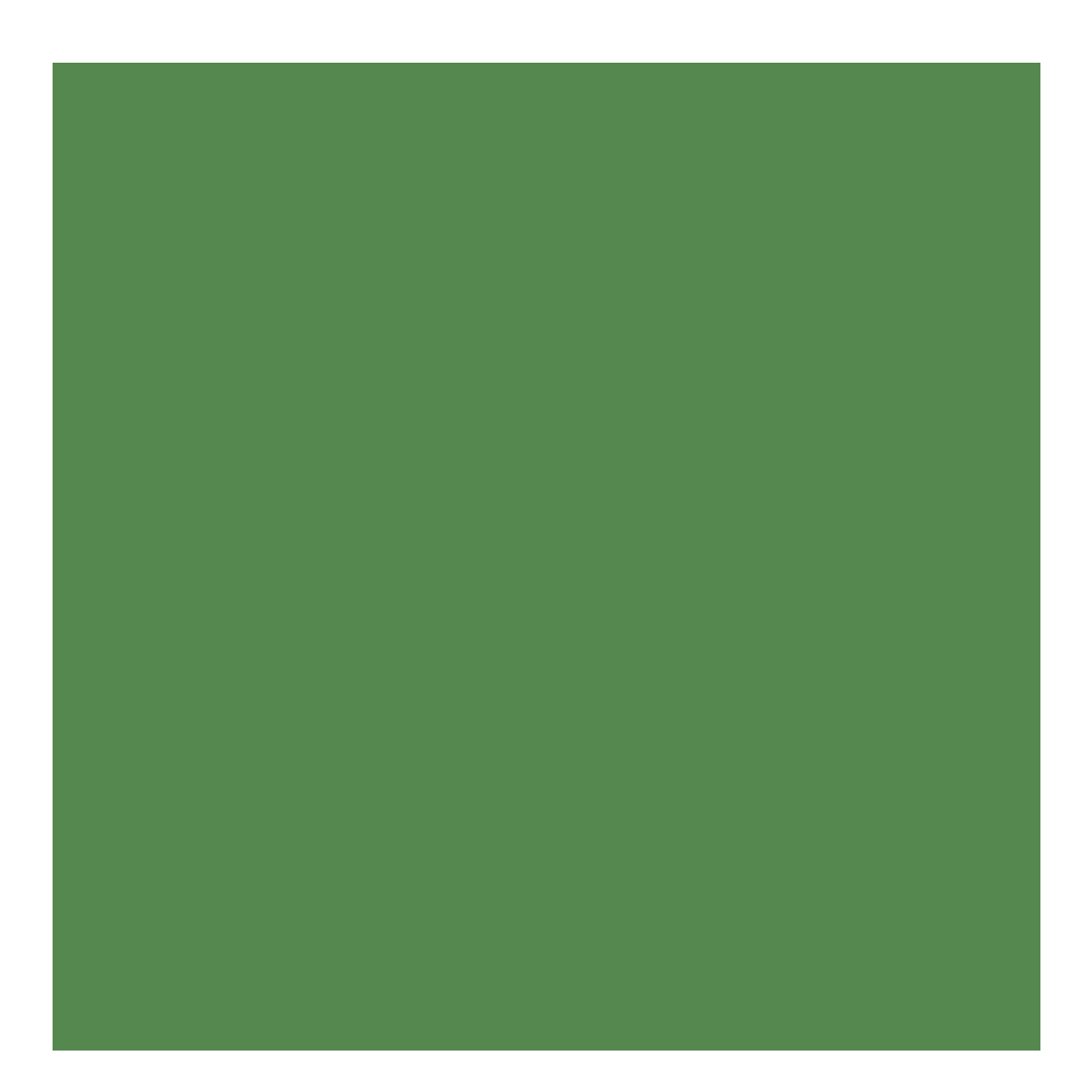 Image Reveal