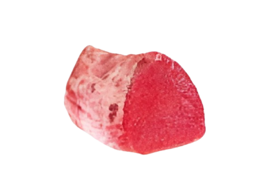lacerto lacerto